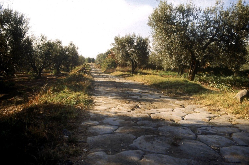 Un Vento che muove la cultura ecosostenibile