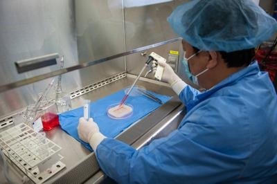 Europa al riparo da Ebola