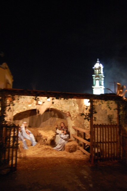 wsternatia-presepe-nativita