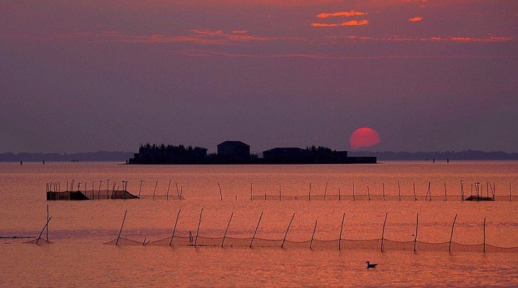natura_isola_pedrocco-b76a05677d38f89aaf43d056ce9c3537