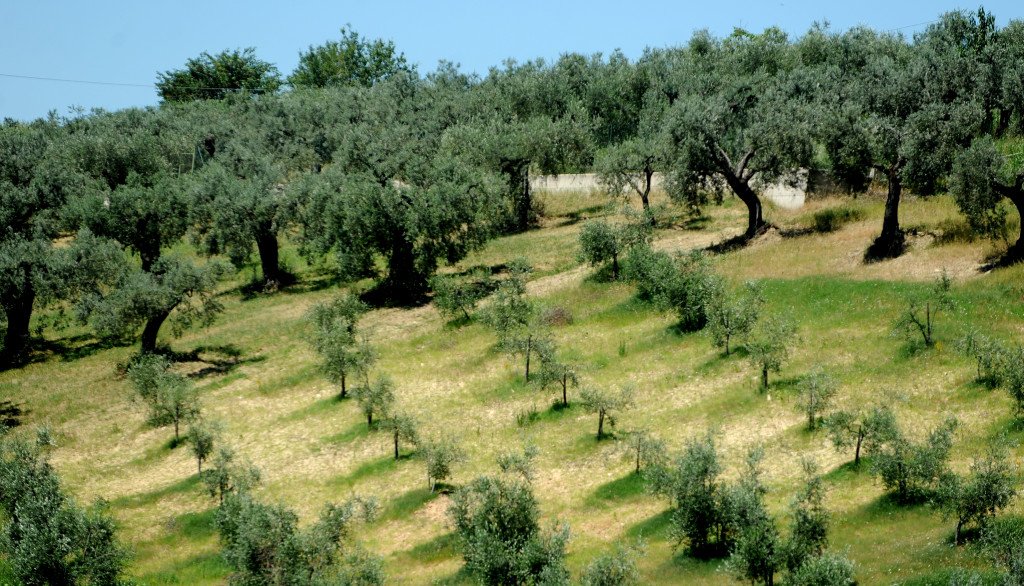 ITALY-UE-CANNETO