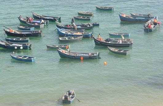 530_1FOTO-IIU