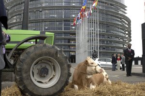 Farmers stage a protest in front of the EP in Strasbourg