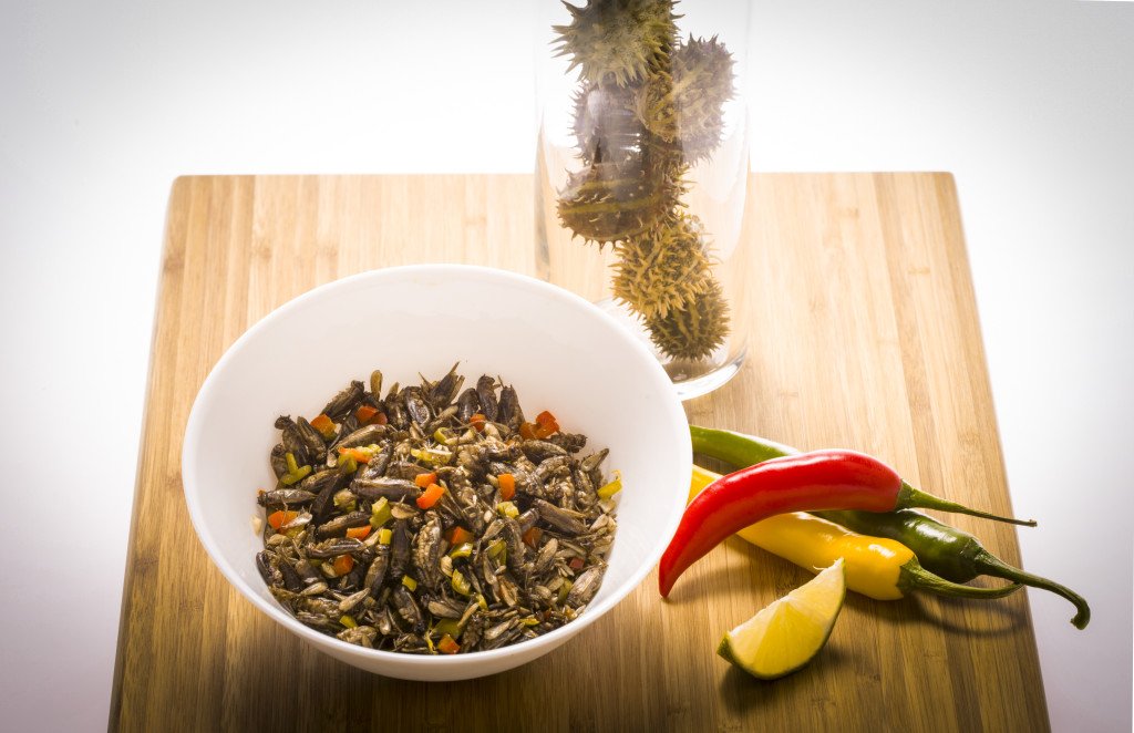 Novel food - Insects used as ingredient of a balanced meal and as an alternative protein source