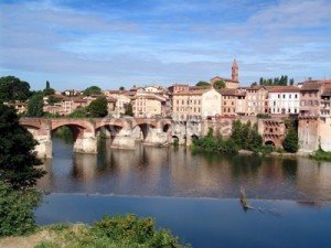 Francia-albi