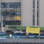 Legname illegale in Europa: legge salva-foreste scarsamente attuata