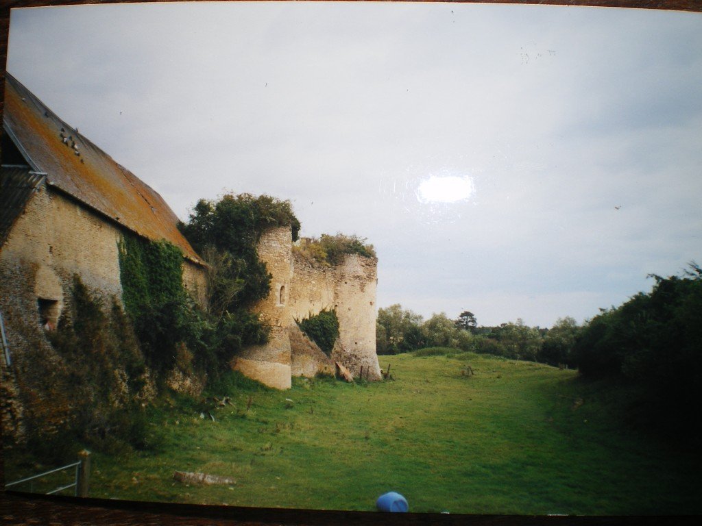 Château_de_Courcy,_muraille_est