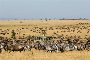 Serengeti-Safari-Migration