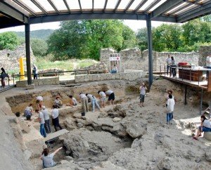 dmanisi 1
