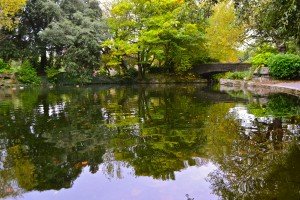 giardino Dublino