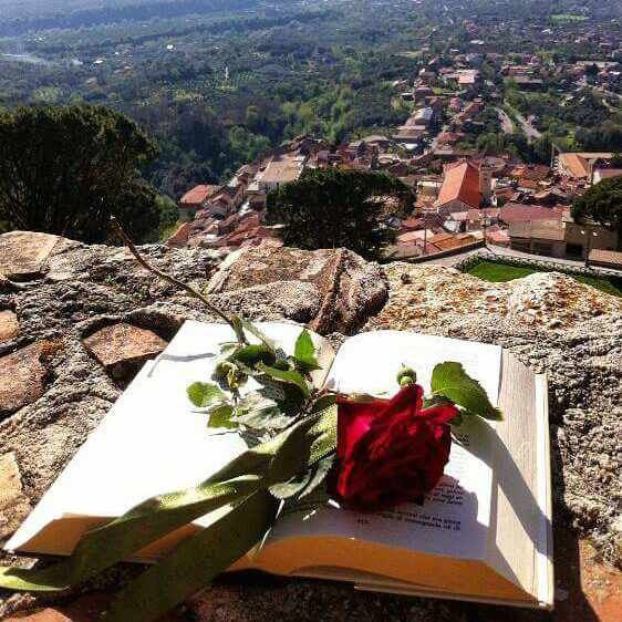UNAROSA un libro