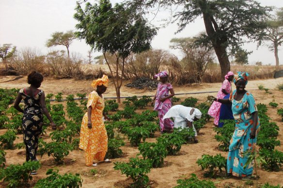 donne burkina contadine