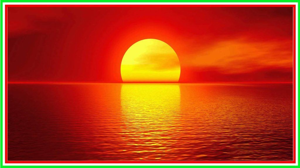 sole