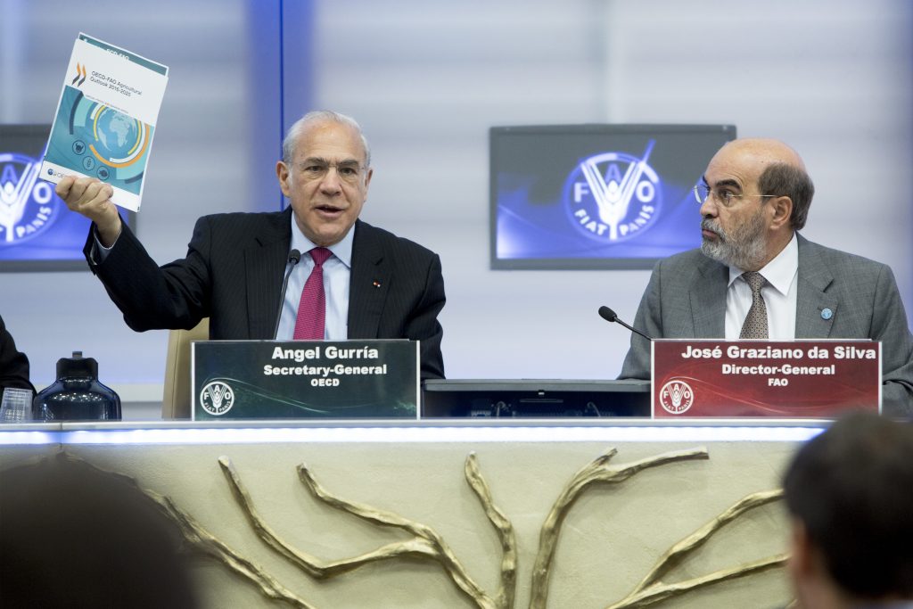 Ocse e Fao: fine del periodo di prezzi agricoli alti, ma rimaniamo vigili
