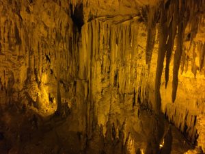 IMG_3668