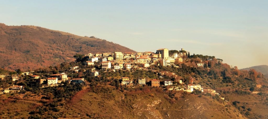 Nella Sabina e nella Tuscia alla ricerca dell’olio di qualità