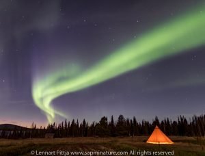 thumbnail_SapmiNatureCamp_aurora boreale_SwedishLapland_foto Lennart Pittja