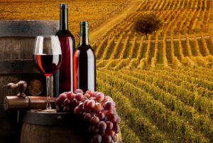 vino brand italiano