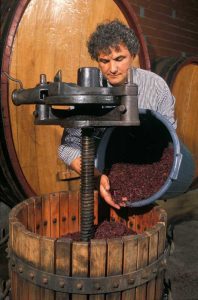 vino brand italiano