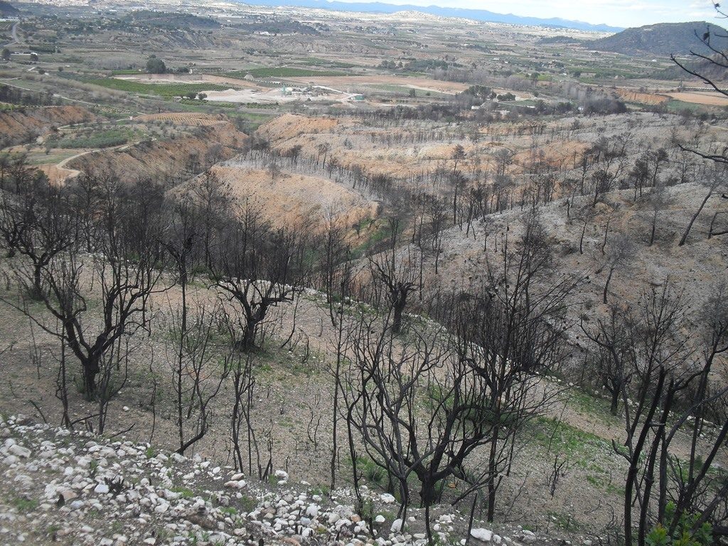 Desiré_Morales_INCENDI