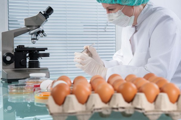 Fipronil-in-eggs_dnm_gallery