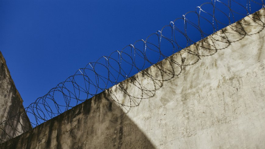 wall barbed wire