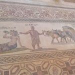 Riscoprire Afrodite a Cipro, tra archeologia e mondanità