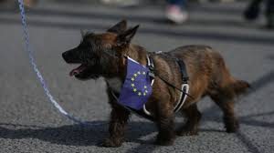 Brexit animali domestici