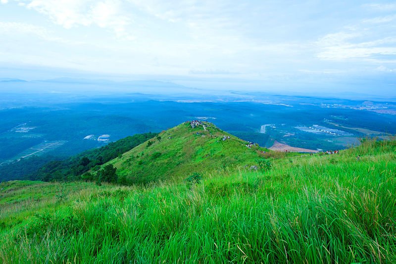 APAI-BROGA 2.t574e5ae1.m800.TIF.pv.xW9oqmWP_