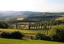 Raccontare Todi e l’Umbria attraverso il vino