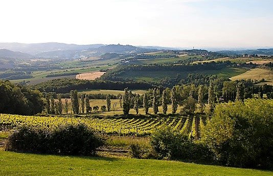 Raccontare Todi e l’Umbria attraverso il vino