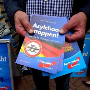 Volantini della AfD