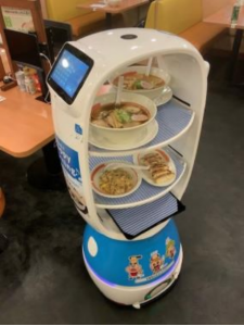 Robot k-1