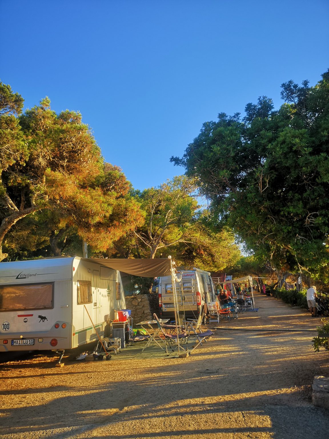 Vacanze all’Isola del Giglio nel campeggio più bello d’Europa Vacanze all’Isola del Giglio nel campeggio più bello d’Europa
