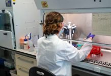 Coronavirus, a Siena selezionato anticorpo monoclonale più efficace per terapia