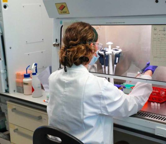 Coronavirus, a Siena selezionato anticorpo monoclonale più efficace per terapia