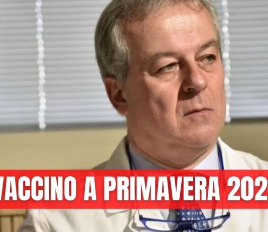 Vaccinazioni contro il Covid-19, si parte a primavera