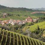 Barolo, città italiana del vino, modello di paesaggio vitivinicolo europeo