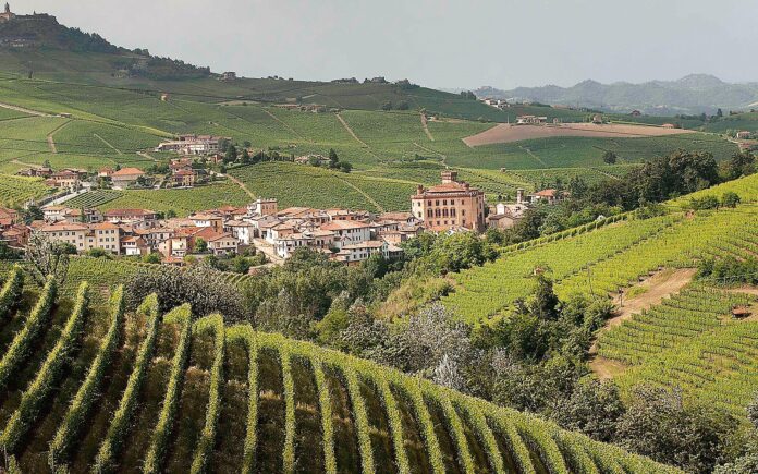 La-Langa-del-Barolo