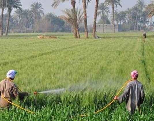 I finanziamenti per la lotta al cambiamento climatico trascurano la piccola agricoltura agricoltura
