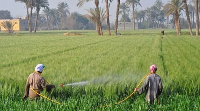 agricoltura agricoltura