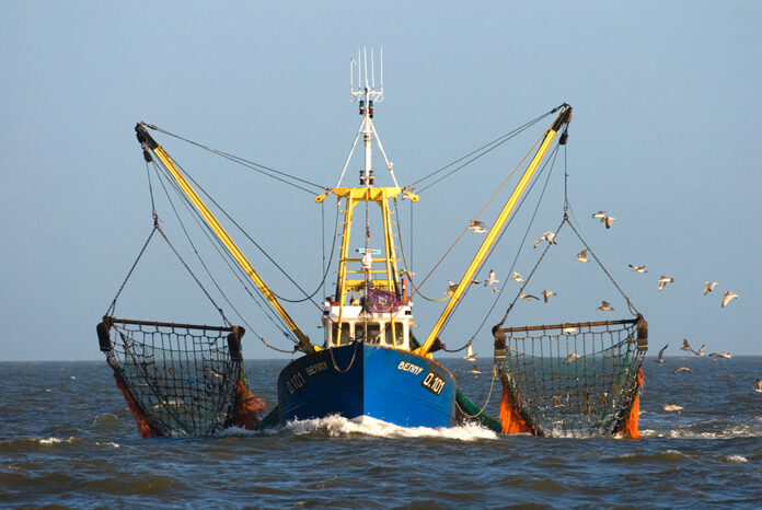 Pesca Pesca
