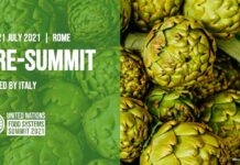 L’Italia pone le basi per la conferenza delle Nazioni Unite sui sistemi alimentari Italia
