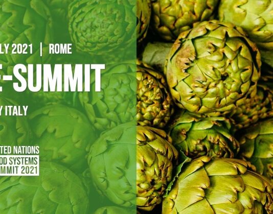 L’Italia pone le basi per la conferenza delle Nazioni Unite sui sistemi alimentari Italia