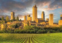 Enoturismo, in Italia vale complessivamente 2,5 miliardi di euro Enoturismo