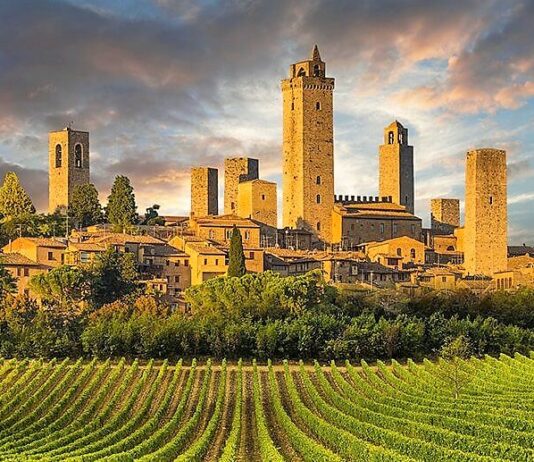 Enoturismo, in Italia vale complessivamente 2,5 miliardi di euro Enoturismo