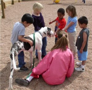 PET THERAPY