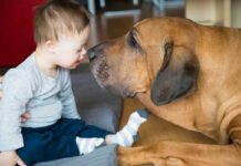 L’etologo Roberto Marchesini spiega il valore più profondo della pet therapy Pet therapy