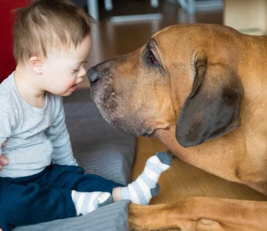 L’etologo Roberto Marchesini spiega il valore più profondo della pet therapy Pet therapy