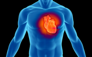 Prevenzione malattie cardiovascolari